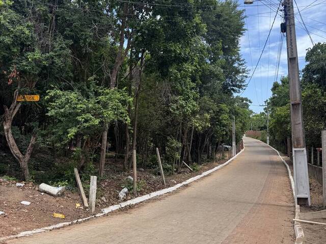 Terreno para Venda em Tibau do Sul - 4