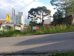 Terreno para Venda em Curitiba - 5